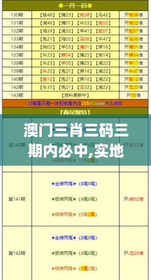 澳门三肖三码三期内必中,实地验证实施数据_41.144