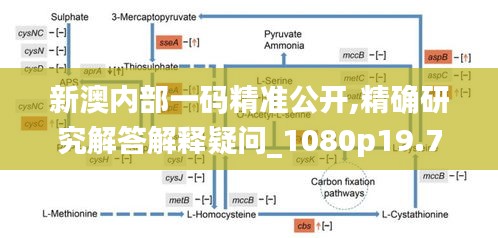 新澳内部一码精准公开,精确研究解答解释疑问_1080p19.78