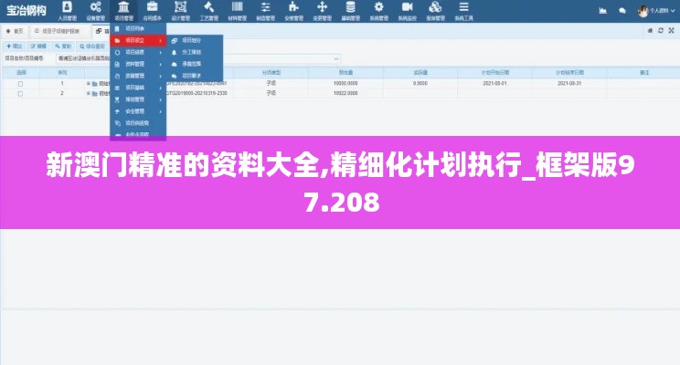 新澳门精准的资料大全,精细化计划执行_框架版97.208