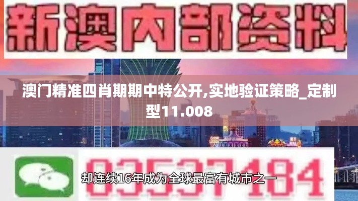 澳门精准四肖期期中特公开,实地验证策略_定制型11.008