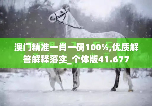 澳门精准一肖一码100%,优质解答解释落实_个体版41.677