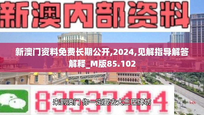 新澳门资料免费长期公开,2024,见解指导解答解释_M版85.102