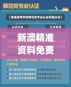 新澳精准资料免费提供510期,专业执行处理问题_现实款60.138