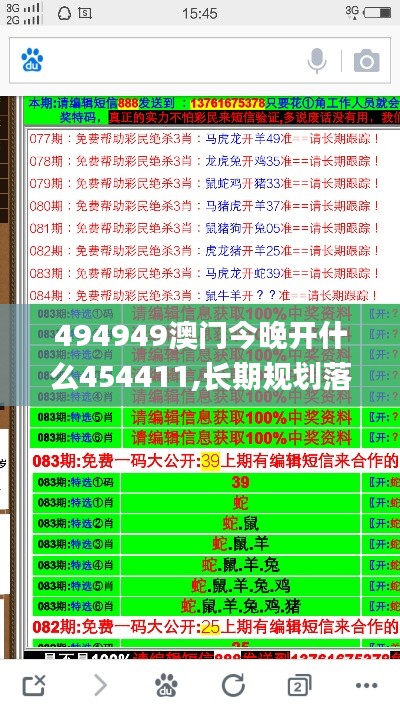 494949澳门今晚开什么454411,长期规划落实分析_储备版47.783