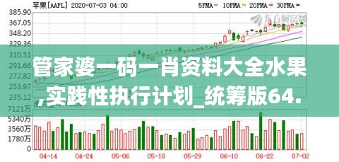 管家婆一码一肖资料大全水果,实践性执行计划_统筹版64.596