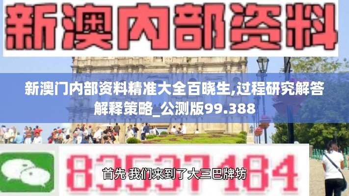 新澳门内部资料精准大全百晓生,过程研究解答解释策略_公测版99.388