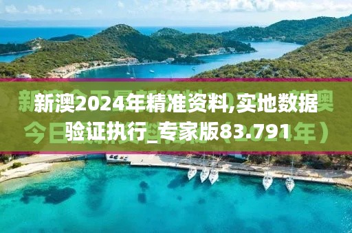 新澳2024年精准资料,实地数据验证执行_专家版83.791