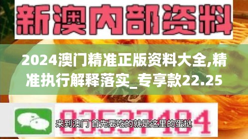 2024澳门精准正版资料大全,精准执行解释落实_专享款22.251