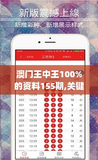 澳门王中王100%的资料155期,关键方法解析_模拟型66.008