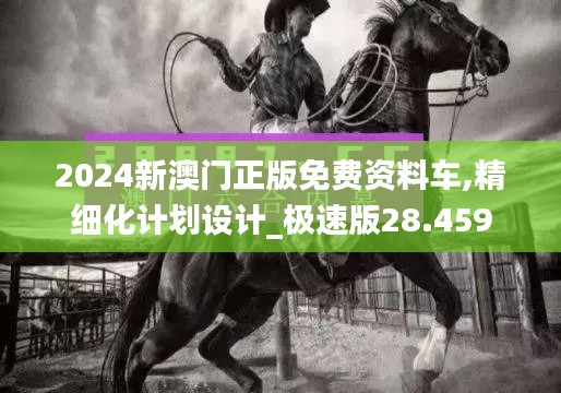 2024新澳门正版免费资料车,精细化计划设计_极速版28.459