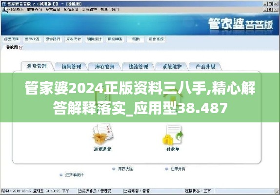 管家婆2024正版资料三八手,精心解答解释落实_应用型38.487