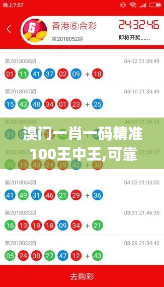 溴门一肖一码精准100王中王,可靠信息解析说明_过渡版18.408