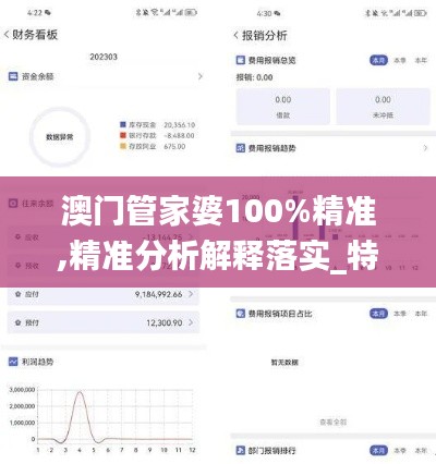 澳门管家婆100%精准,精准分析解释落实_特定款45.648