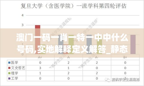 澳门一码一肖一特一中中什么号码,实地解释定义解答_静态款16.091