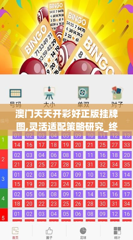 澳门天天开彩好正版挂牌图,灵活适配策略研究_终端制56.638