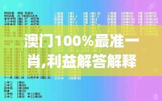 澳门100%最准一肖,利益解答解释执行_引领版70.124