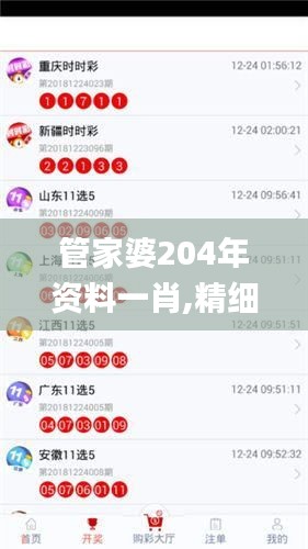 管家婆204年资料一肖,精细解读解析_宣传集18.683