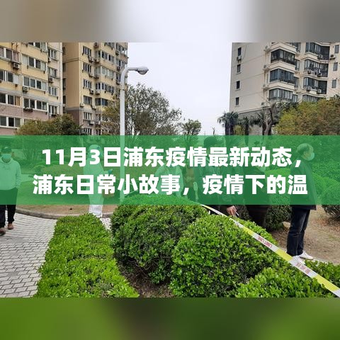 浦东疫情最新动态下的温暖时光，日常小故事记录温暖瞬间