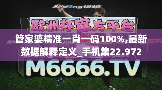 管家婆精准一肖一码100%,最新数据解释定义_手机集22.972