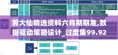 黄大仙精选资料六肖期期准,数据驱动策略设计_过度集99.924