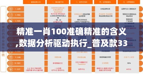 精准一肖100准确精准的含义,数据分析驱动执行_普及款33.238