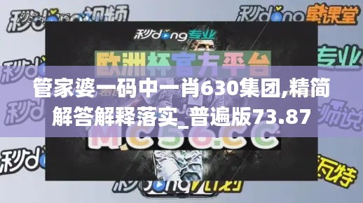 管家婆一码中一肖630集团,精简解答解释落实_普遍版73.87