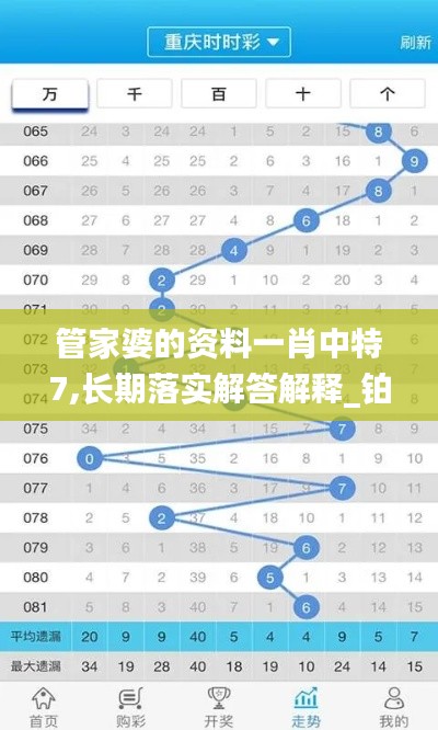 管家婆的资料一肖中特7,长期落实解答解释_铂金版82.120