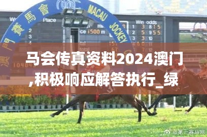 马会传真资料2024澳门,积极响应解答执行_绿色版86.428