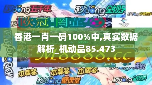 香港一肖一码100%中,真实数据解析_机动品85.473