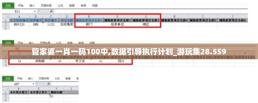 管家婆一肖一码100中,数据引导执行计划_游玩集28.559