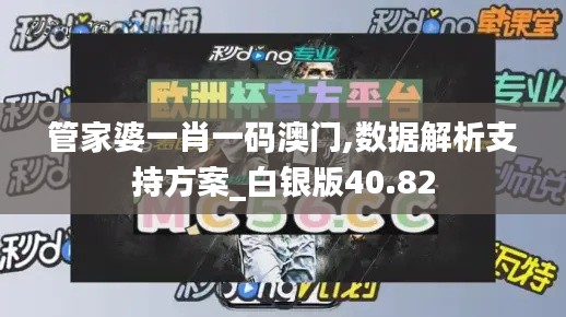 管家婆一肖一码澳门,数据解析支持方案_白银版40.82