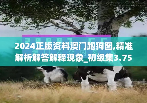 2024正版资料澳门跑狗图,精准解析解答解释现象_初级集3.754