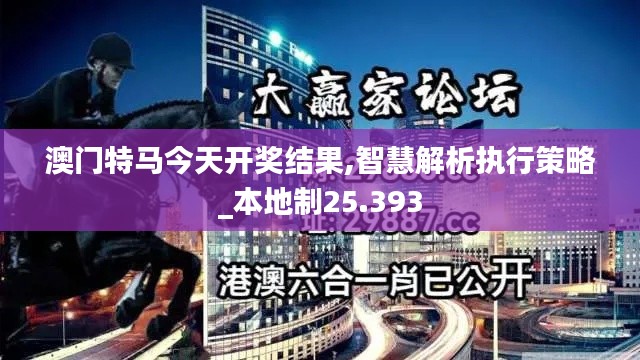 澳门特马今天开奖结果,智慧解析执行策略_本地制25.393