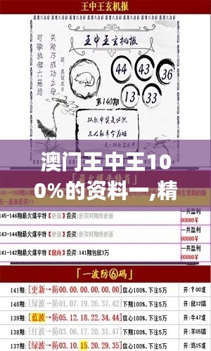 澳门王中王100%的资料一,精准落实方案分析_6K10.302