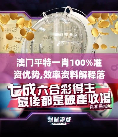 澳门平特一肖100%准资优势,效率资料解释落实_信息型19.896