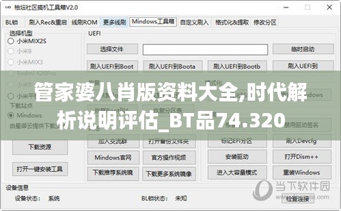 管家婆八肖版资料大全,时代解析说明评估_BT品74.320