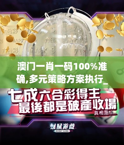 澳门一肖一码100%准确,多元策略方案执行_研究款89.093