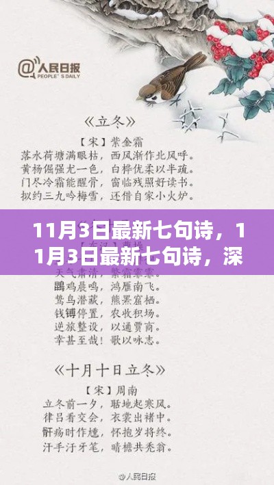 最新七句诗深度评测与介绍，11月3日更新