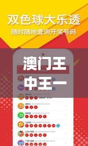 澳门王中王一肖一中一码,创新执行计划_校园款25.46