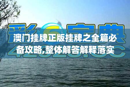 澳门挂牌正版挂牌之全篇必备攻略,整体解答解释落实_可调款84.926