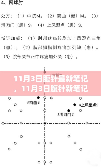 11月3日腹针新笔记，背景、事件、影响与时代地位的深度探索