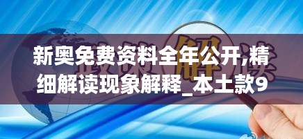 新奥免费资料全年公开,精细解读现象解释_本土款90.708