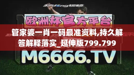 管家婆一肖一码最准资料,持久解答解释落实_延伸版799.799