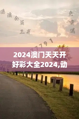 2024澳门天天开好彩大全2024,动态研究解答解释方法_扮演集50.304