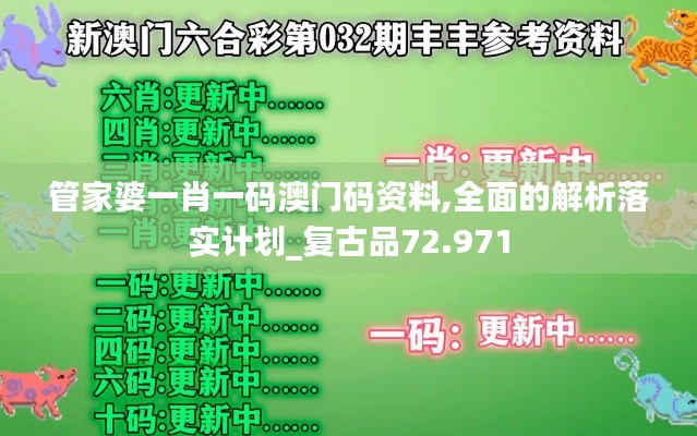 管家婆一肖一码澳门码资料,全面的解析落实计划_复古品72.971