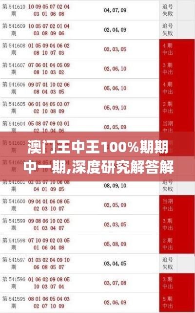 澳门王中王100%期期中一期,深度研究解答解释现象_体验款82.806