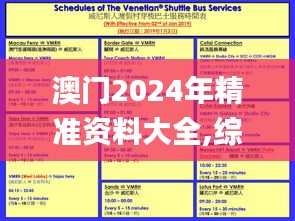 澳门2024年精准资料大全,综合策略探讨方案_V278.175