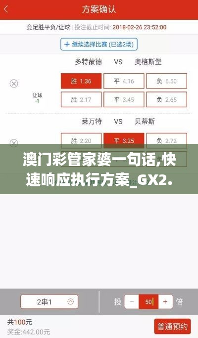 澳门彩管家婆一句话,快速响应执行方案_GX2.821