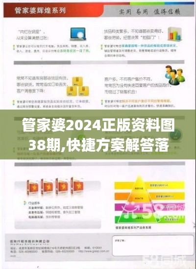 管家婆2024正版资料图38期,快捷方案解答落实_试点集99.960