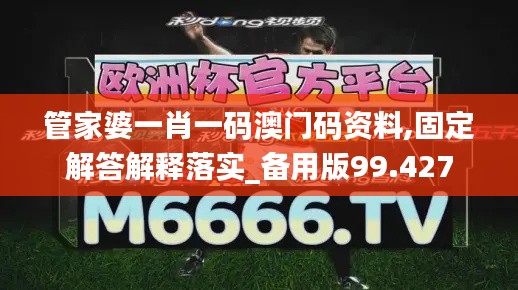 管家婆一肖一码澳门码资料,固定解答解释落实_备用版99.427